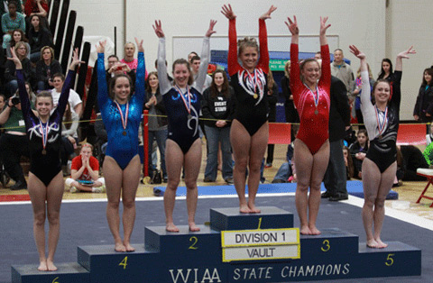 WIAA Gymnastics