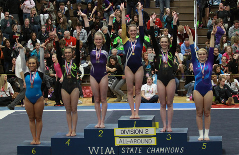 WIAA Gymnastics