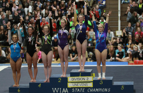 WIAA Gymnastics