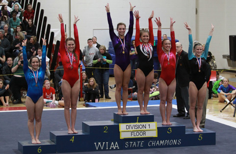 WIAA Gymnastics