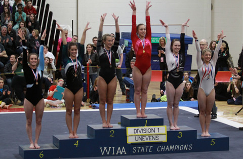 WIAA Gymnastics