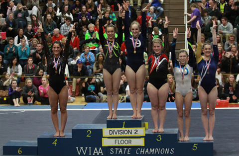 WIAA Gymnastics