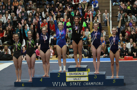 WIAA Gymnastics