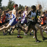 Wisconsin cross country