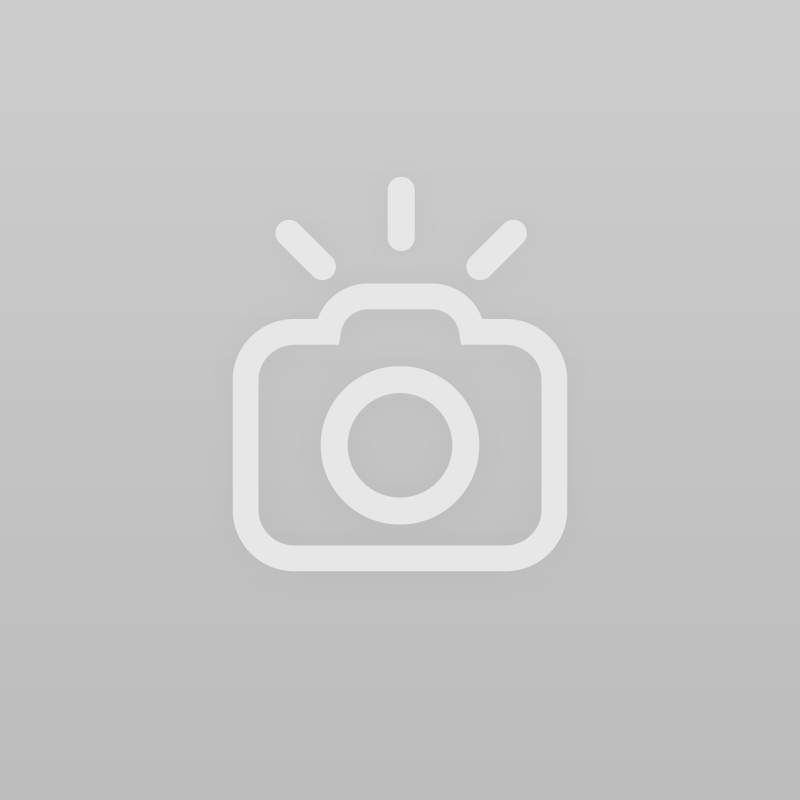 State Girls Soccer Tournament Preview