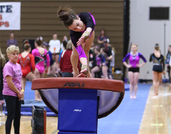 State Gymnastics Championships Preview