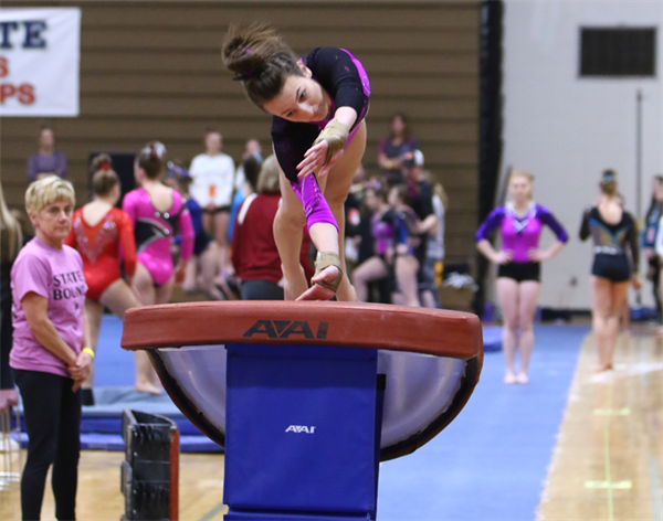 2025 State Gymnastics Championships Preview
