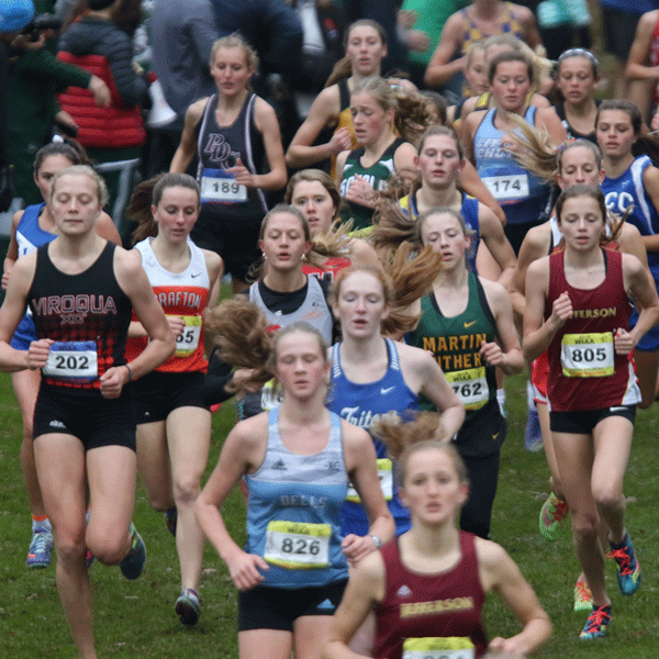 Fall Sport Seasons in Progress