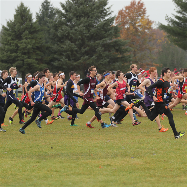 Cross Country Sectional Entries DUE October 19 - 11:59 pm