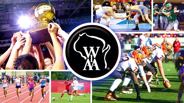 WIAA Seeks Applicants for Executive Director Position