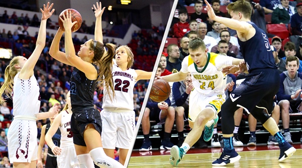 Basketball Division Placements & Assignments Revised