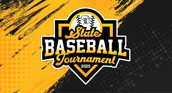 2025 State Baseball Tournament Preview