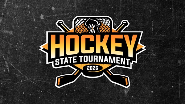 Edgewood, De Pere Co-op, Northland Pines Win Hockey Titles