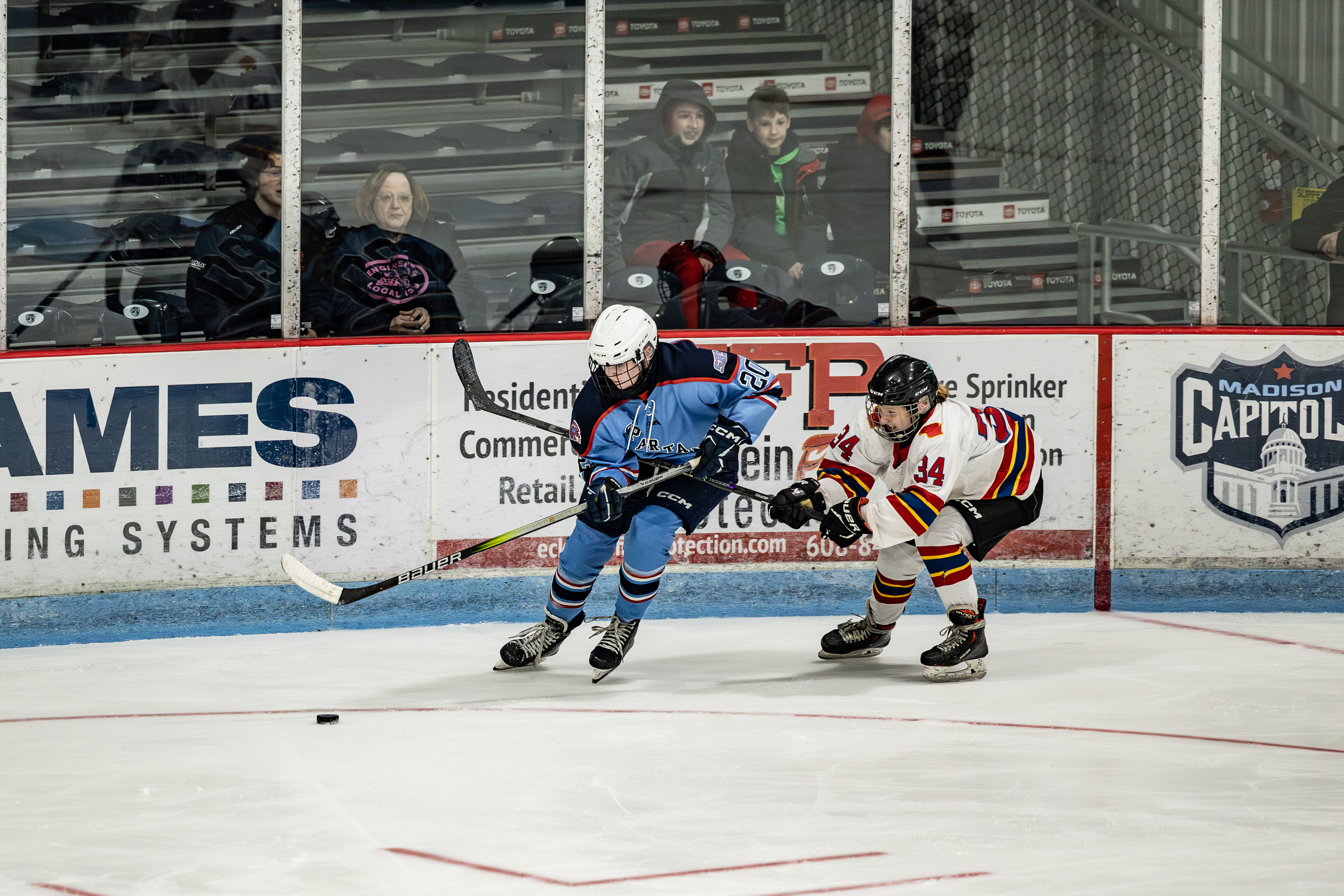 Two ice hockey players skate after the puck near the boards during a game, with spectators watching behind the glass.