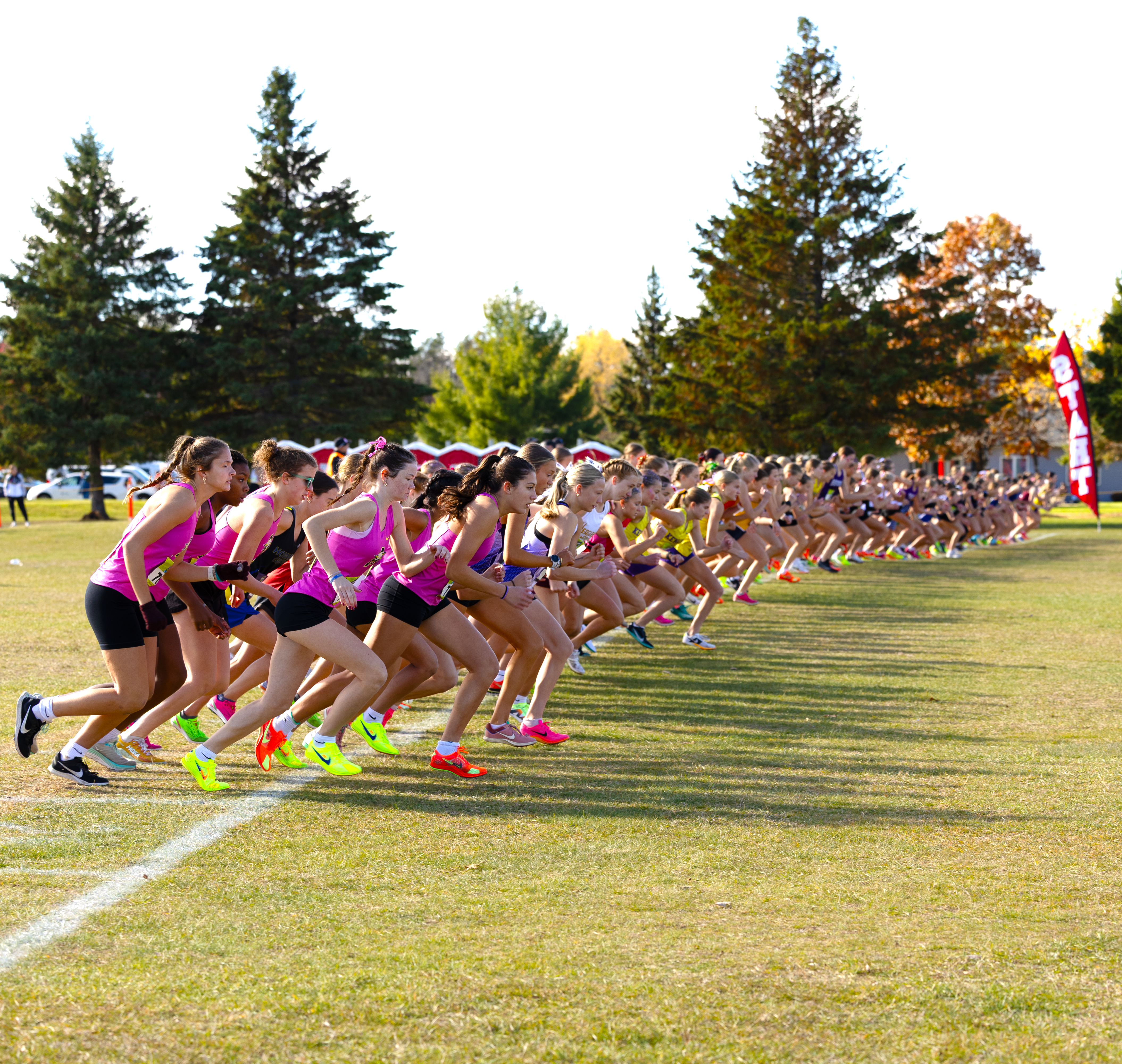 Girls cross country at the starting line of the race.