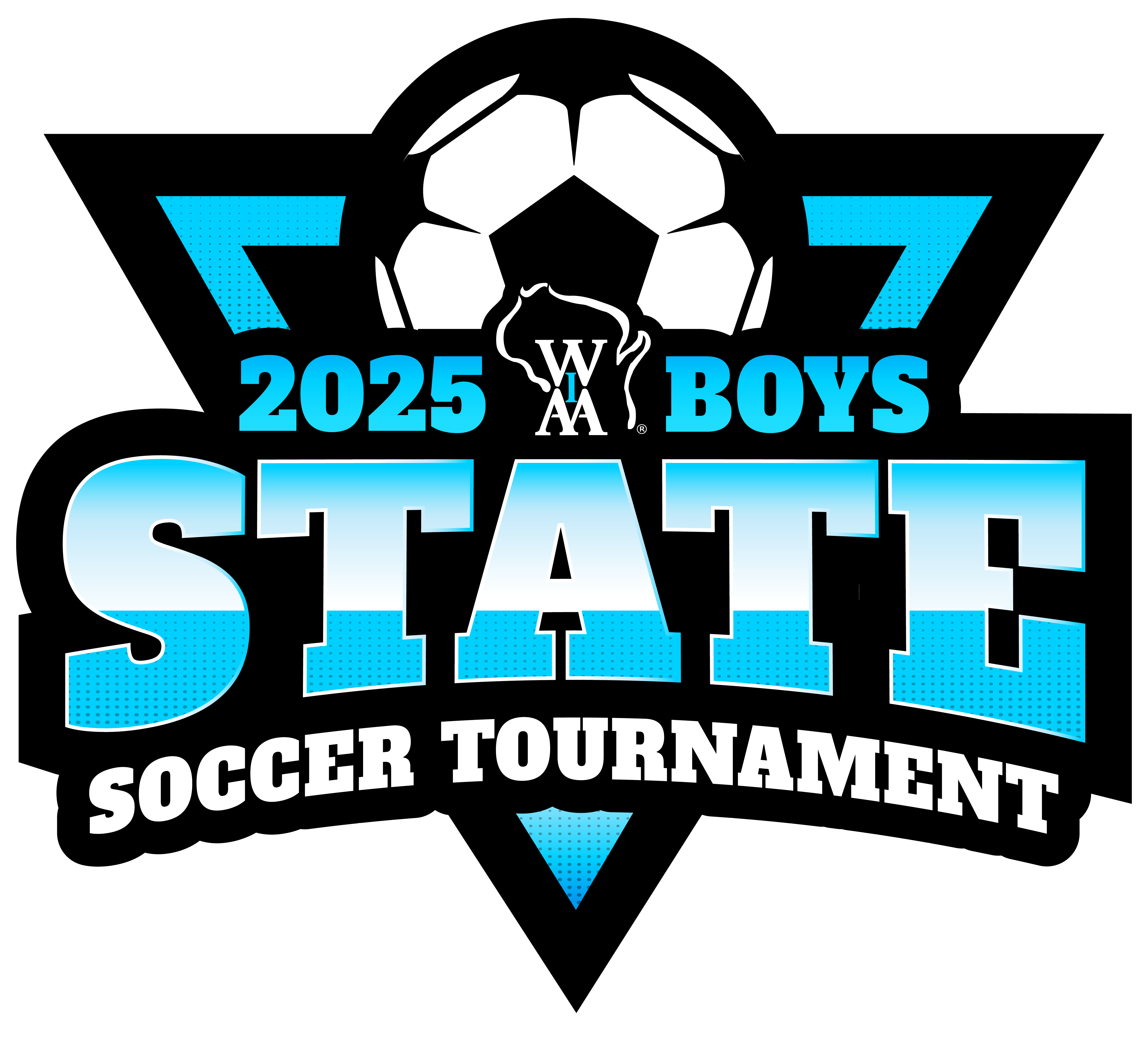 2025 boys state soccer